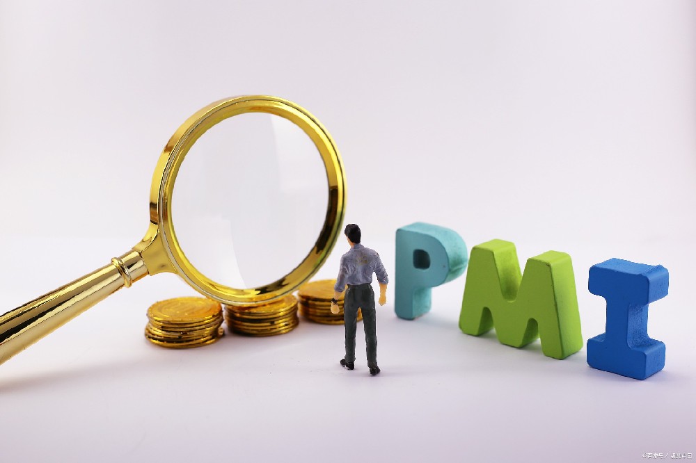 PDU申报被拒绝的常见原因政策分析：材料不足或不合规